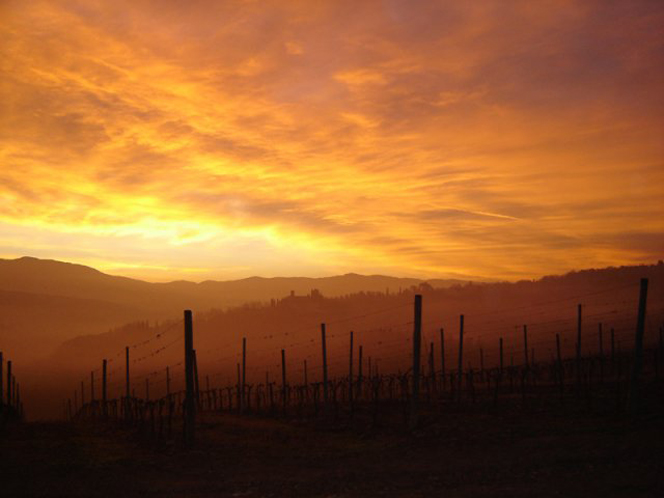 chianti_5