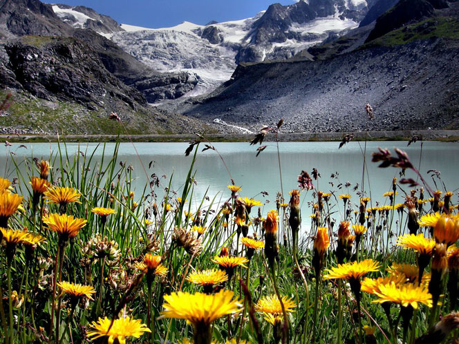 laghi-alpini-8