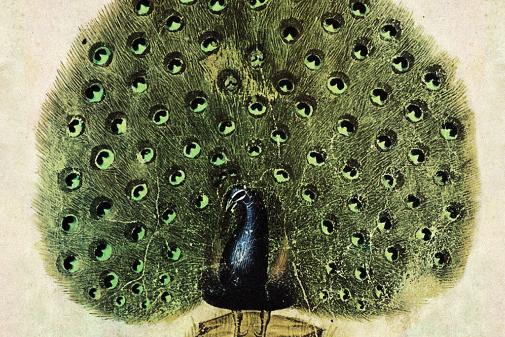 Giovannino de’ Grassi, "Taccuino di disegni"