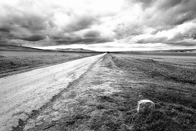lucania-black-and-white-3