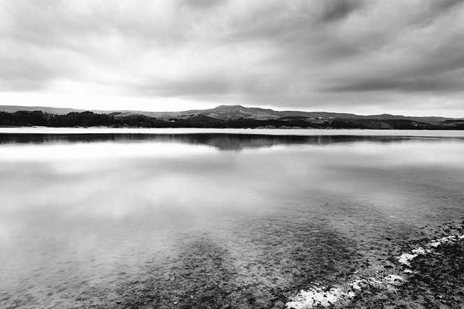 lucania-black-and-white-4