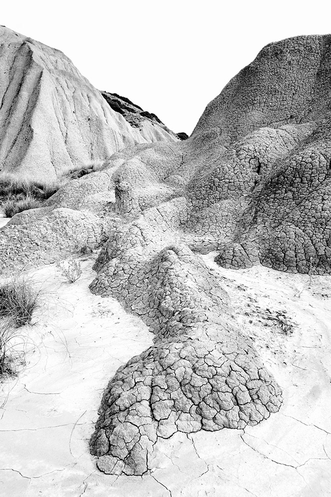 lucania-black-and-white-5