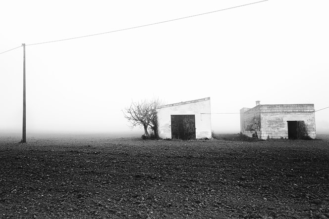 lucania-black-and-white-7
