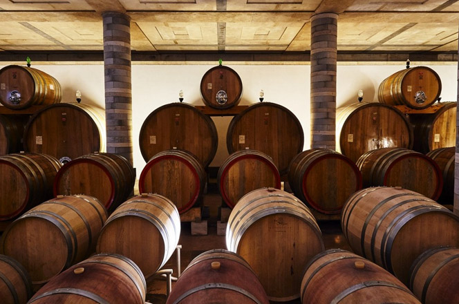 Cantina Dei, a Montepulciano