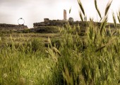 Il Parco Scultura “La Palomba” di Matera - Sculpture Park
